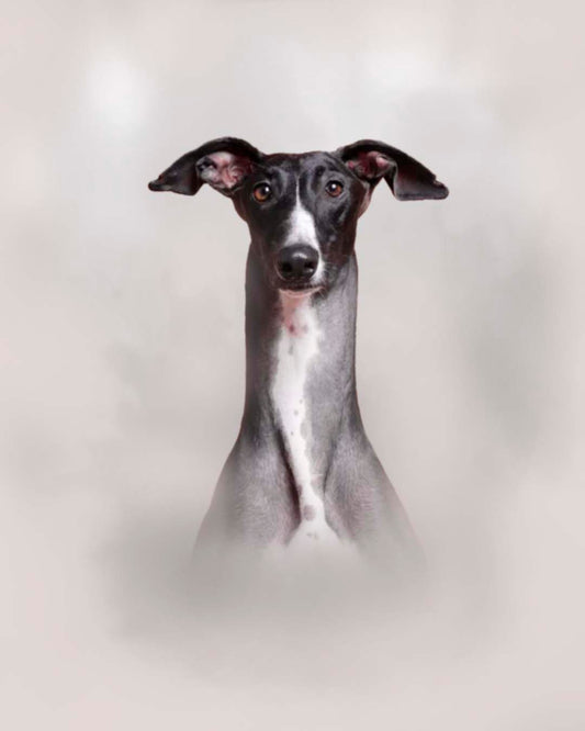 Óleo