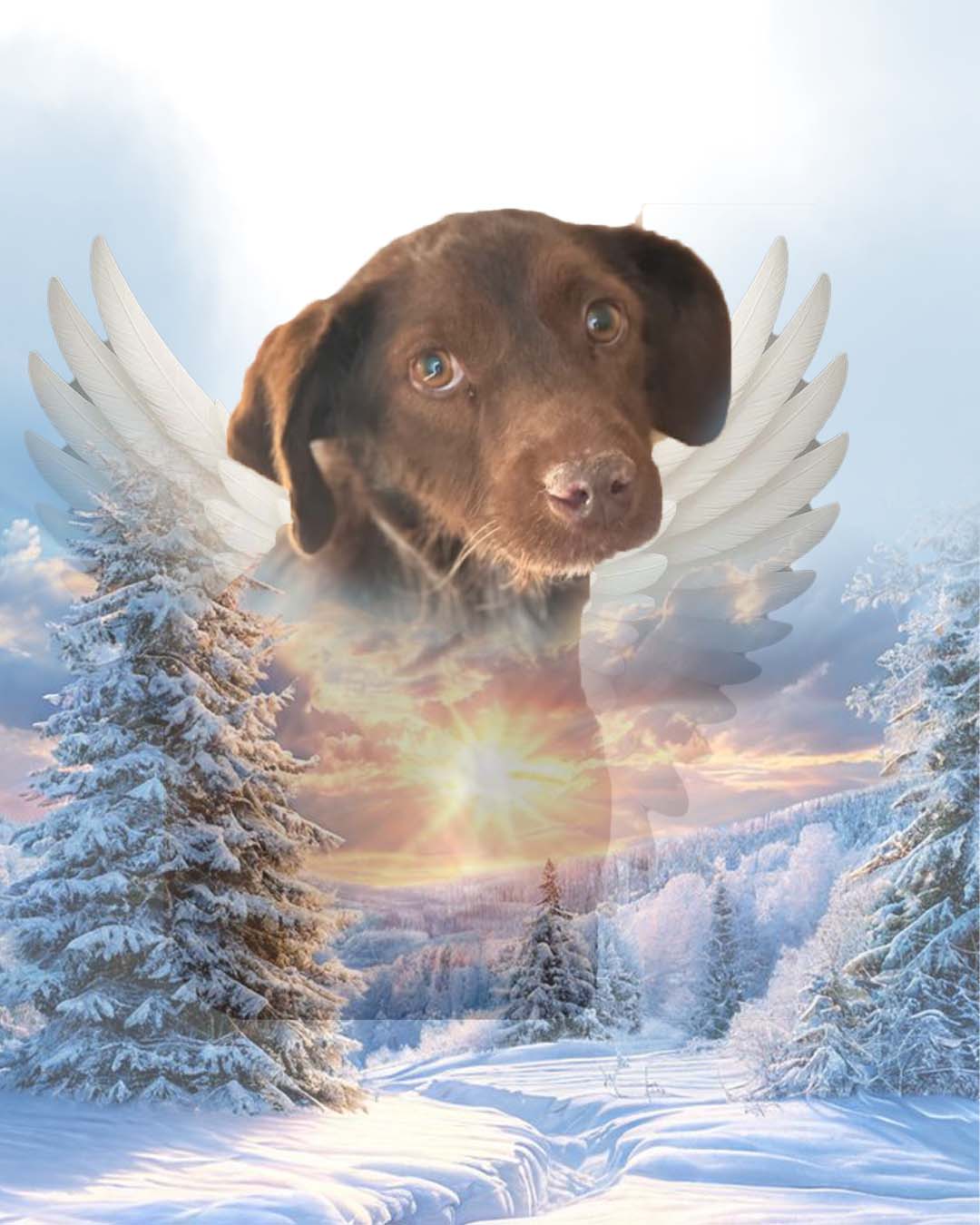 Arte conmemorativo y retrato de perro para honrar su memoria