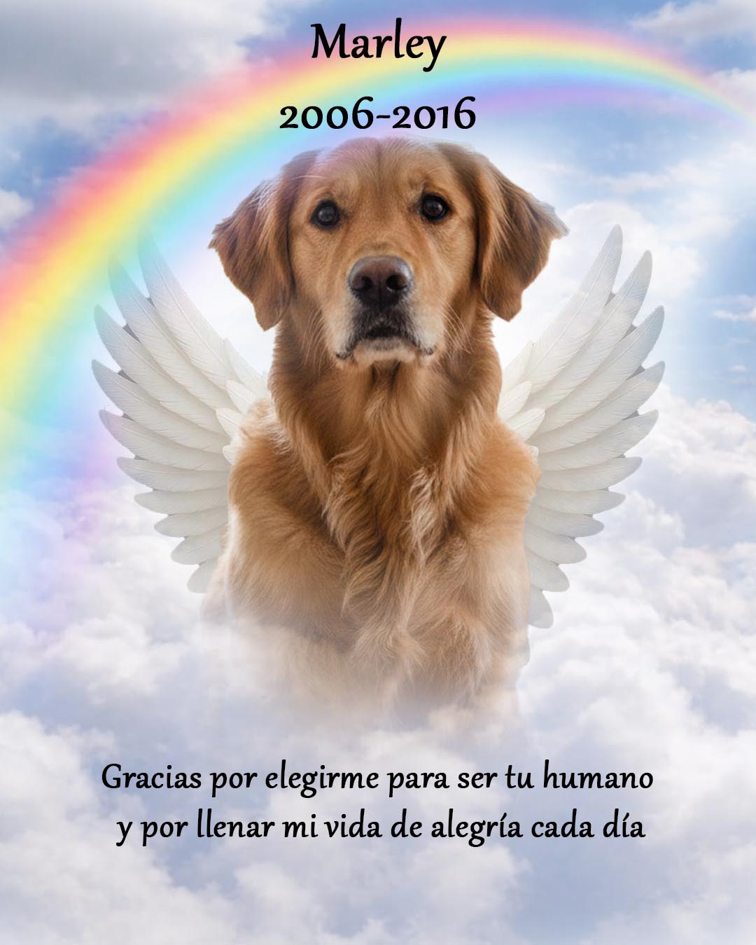 Retrato conmemorativo de mascota en acuarela para recordar a tu compañero