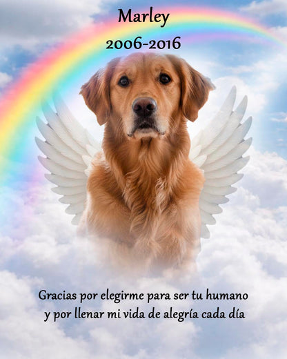 Retrato conmemorativo de mascota en acuarela para recordar a tu compañero