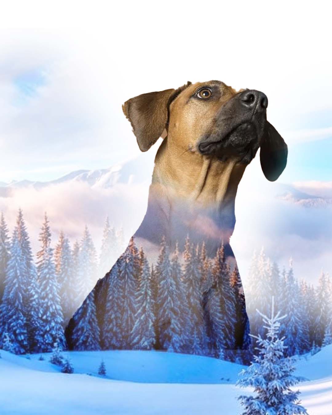 Retrato personalizado de mascota con fondo de paisaje de montaña