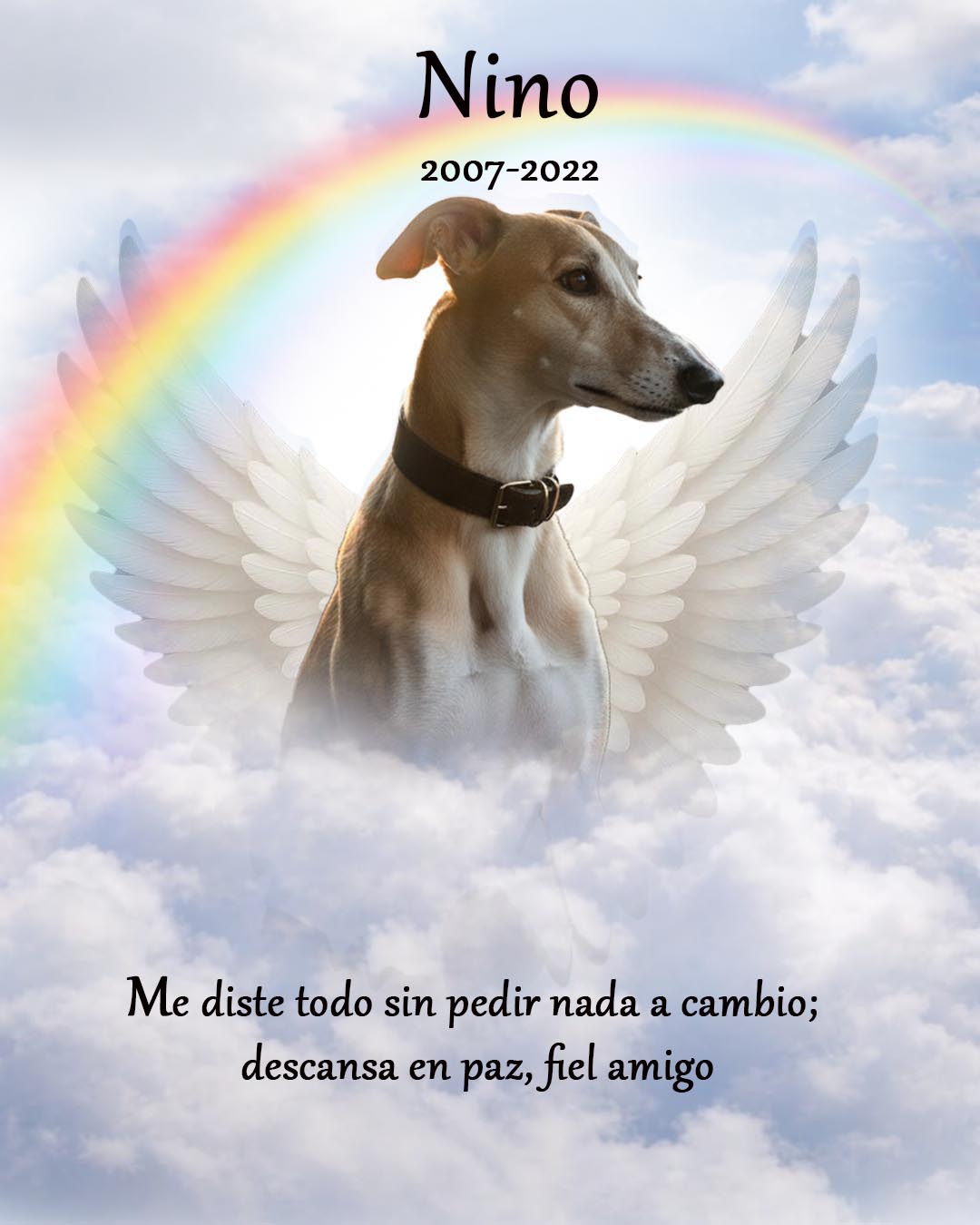 Retratos personalizados de mascotas como homenaje especial