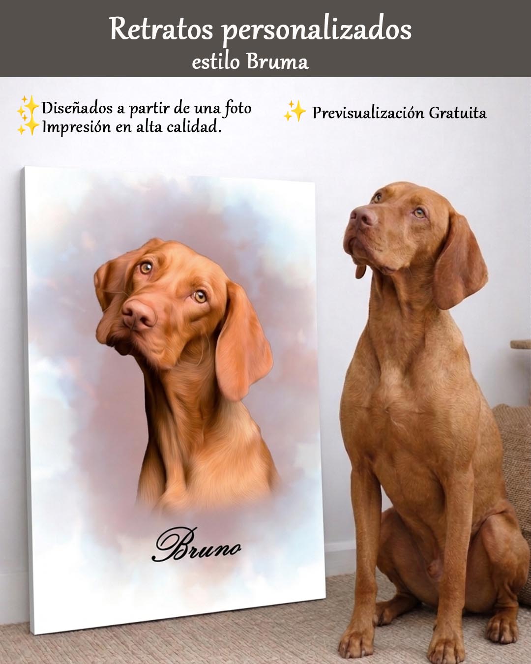 Retrato de mascota estilo Bruma | Personalizado
